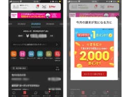 ユーザー提供画像：楽天カードアプリの利用明細画面。頻繁にキャンペーンのお知らせをしてくれる