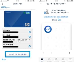 ビューカード スタンダード バーチャルカード券面
